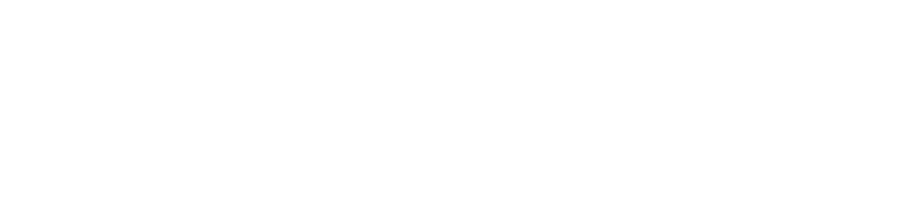 Down Range Guns & Ammo