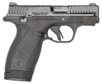 Pistols BODYGUARD 2.0 .380ACP 12RD TS In-store pick up