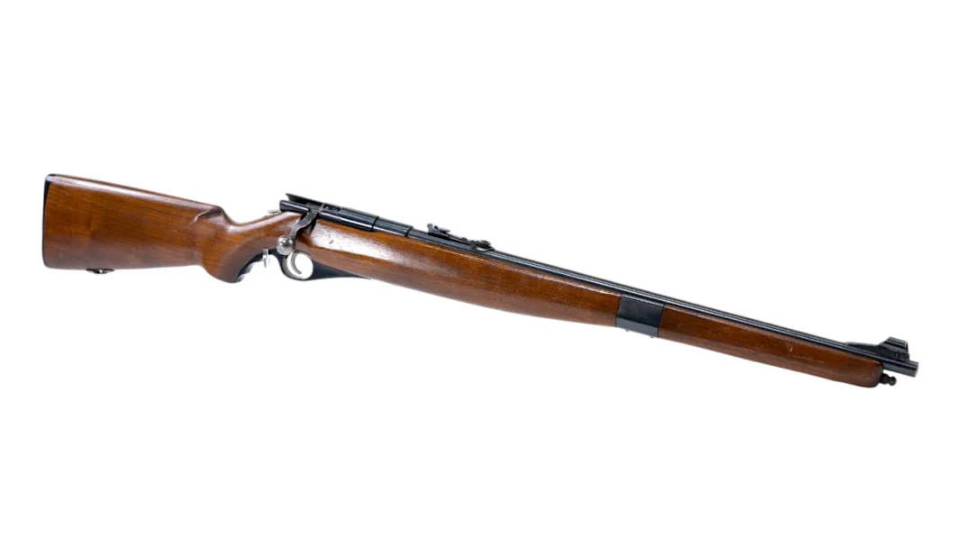 16653-MOSSBERG 46M 22 S-L-LR