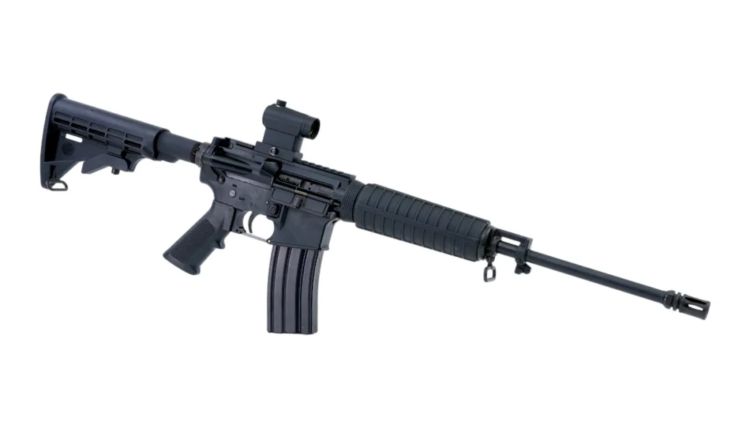 16992-BUSHMASTER XM15-E2S 5.56 NATO 30RD