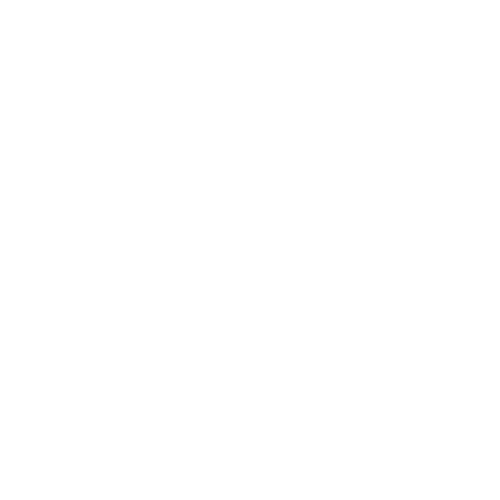 STEALTH ARMS