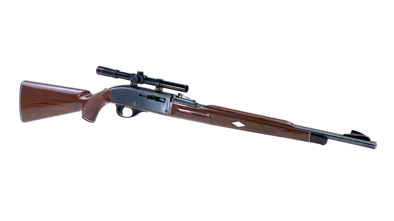 REMINGTON NYLON 66 .22LR 14RD 19.5" | SCOPE