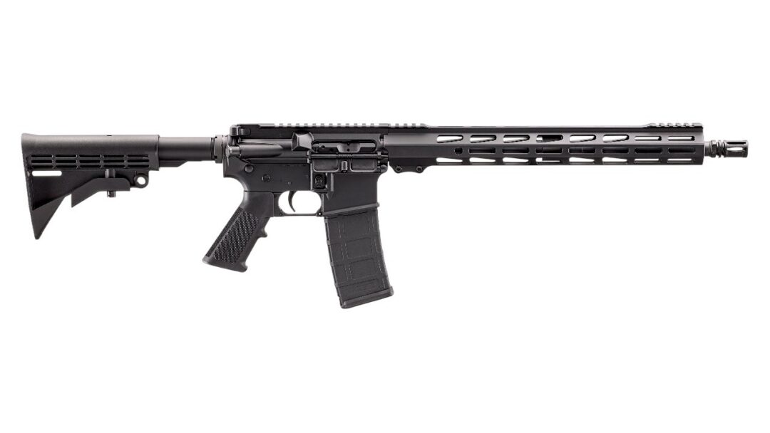 Black assault rifle with a detachable magazine and long, vented handguard, shown in profile on a white background.