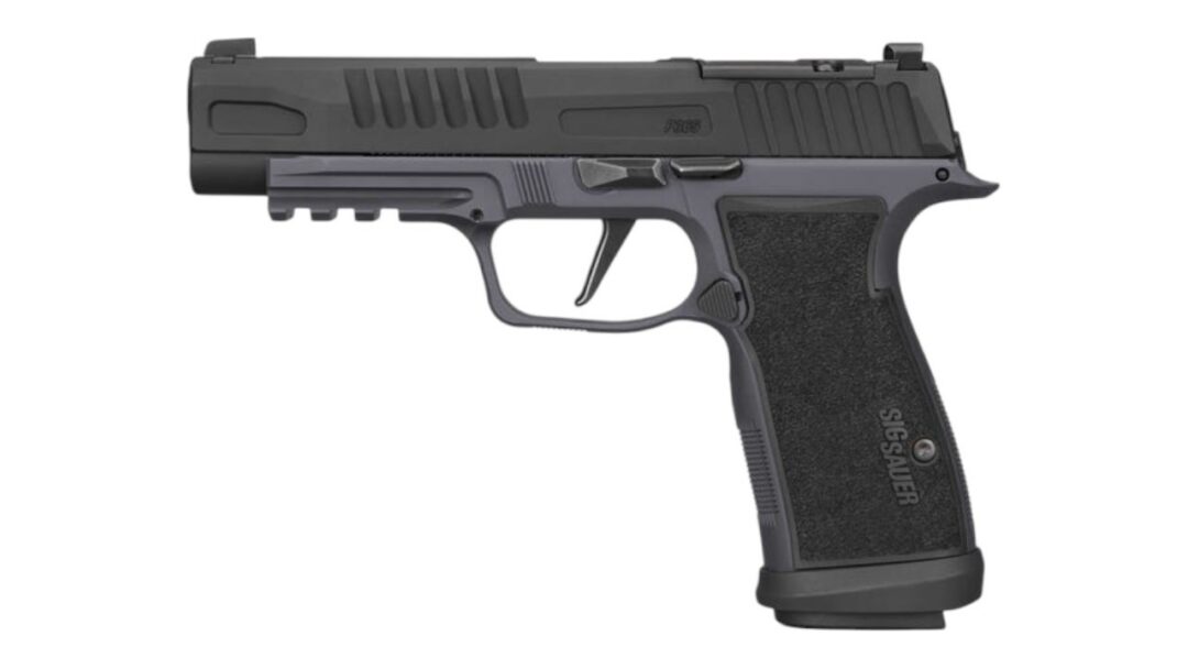 SIG SAUER P365 FUSE AXG 9MM 21RD _ GRAY_BLACK
