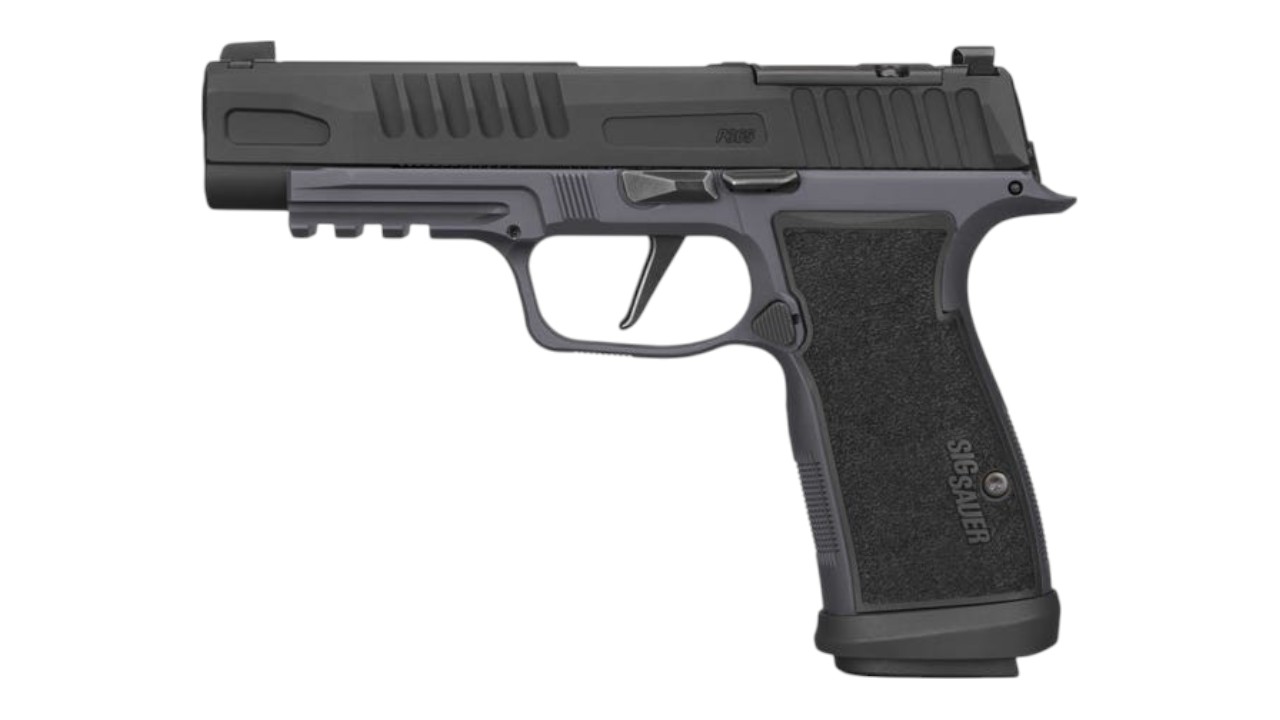 SIG SAUER P365 FUSE AXG 9MM 21RD | GRAY/BLACK