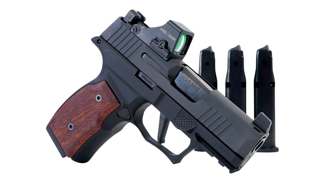 17794-SIG SAUER P365X 9MM 12RD 3.1_ _ SHARPS BROS FRAME