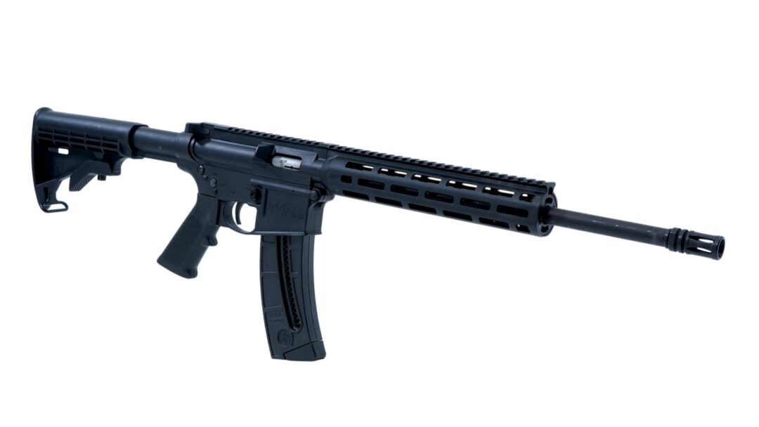 18669-SMITH & WESSON M&P15-22 .22LR 25RD